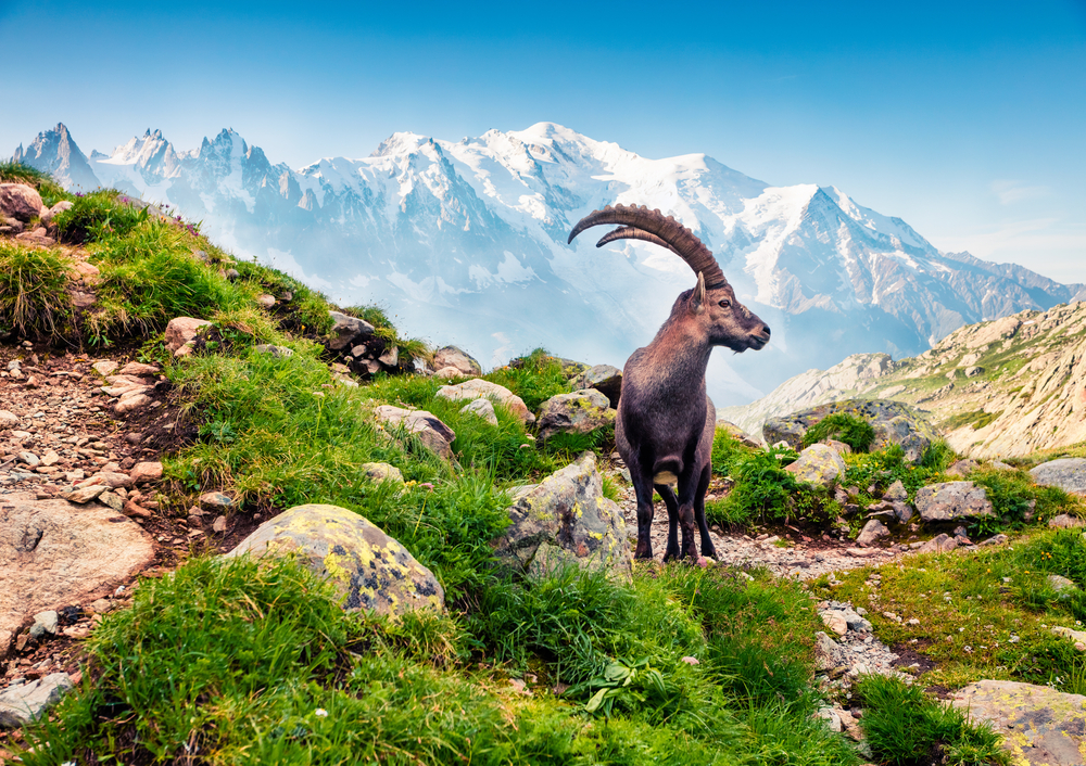 Tour Valle d'Aosta