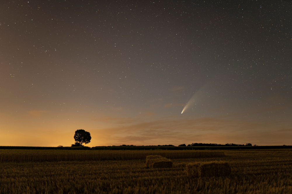 Cometa Neowise