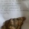 Pompei, turista restituisce cimelio rubato dopo 50 anni