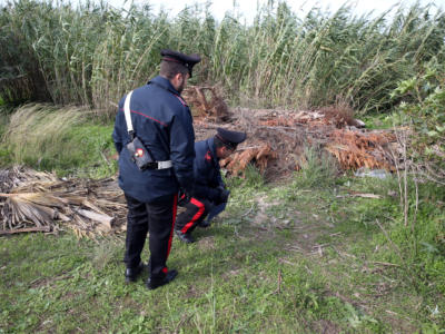Ecco chi era la ragazza trovata morta con le treccine viola attorcigliate e annodate attorno al collo