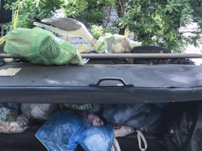 Orrore a Bologna, cadavere di donna trovato in un cassonetto, poche ore dopo scoperto il fidanzato impiccato in casa