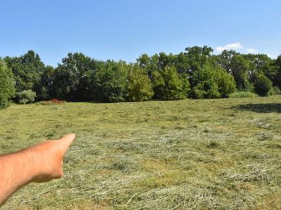 Orrore a Pavia, 14enne violentata al parco: arrestato un 63enne e si cercano anche altri uomini