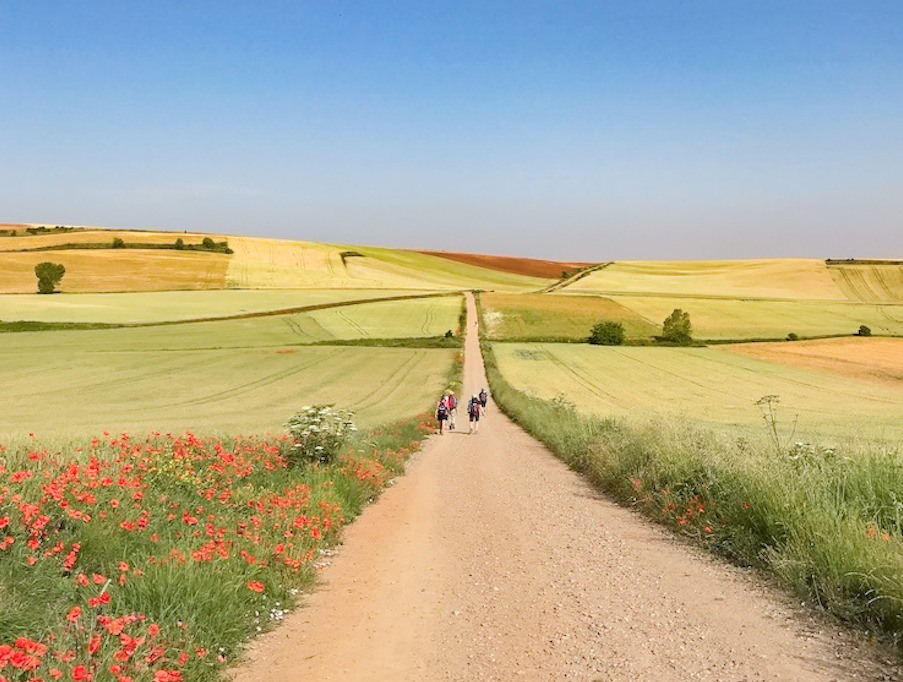 Cammino di Santiago