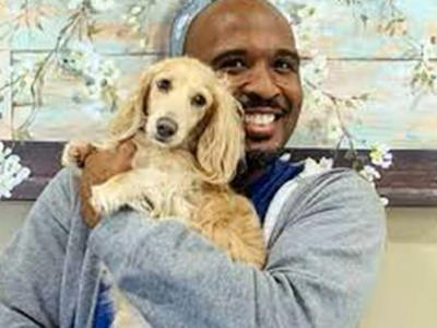 Veterinario si prende cura di cani randagi, ma i video lo incastrano, condannato per abusi sessuali su animali