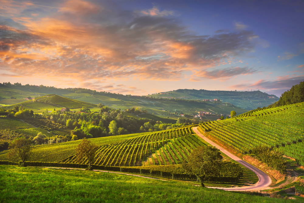 Langhe