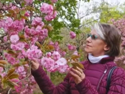 La testa di Lilly in sacchetti di plastica, così è stata trovata la donna scomparsa a Trieste