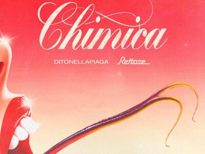 Ditonellapiaga e Rettore, Chimica: un bell’incontro (e una bella idea)