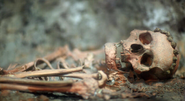 Maranello, ricostruito lo scheletro con i resti umani, ad analizzare il caso la criminologa Roberta Bruzzone