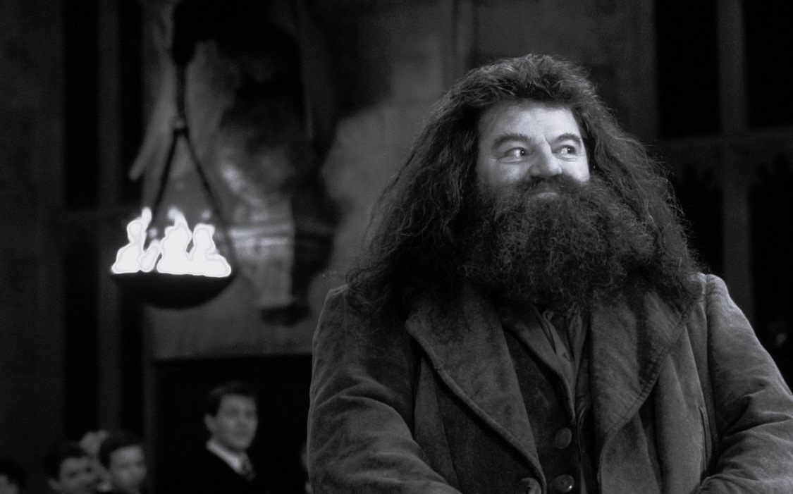 Robbie Coltrane