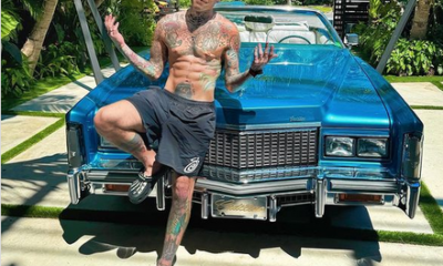 Fedez e la sua nuova immagine di pesce palla sfoggiata alle belve funzionano, anche troppo