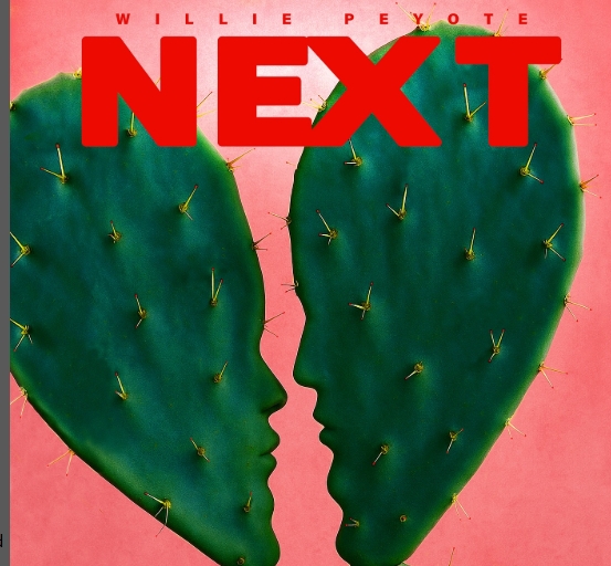 La copertina del nuovo singolo di Willie Peyote