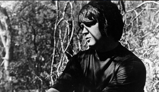 Brian Wilson nel1966