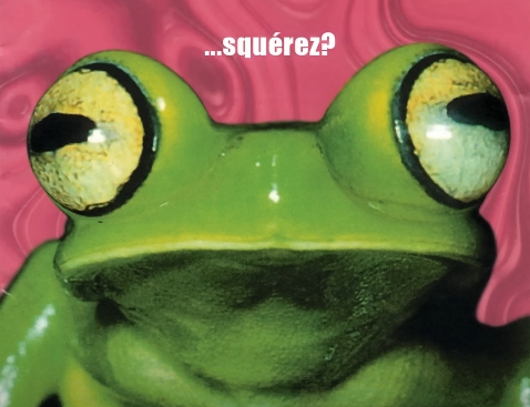 La copertina di Squerez? dei Lunapop