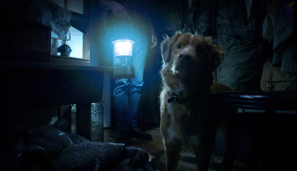 Good Boy (©Good Boy Film)