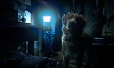 Good Boy (©Good Boy Film)