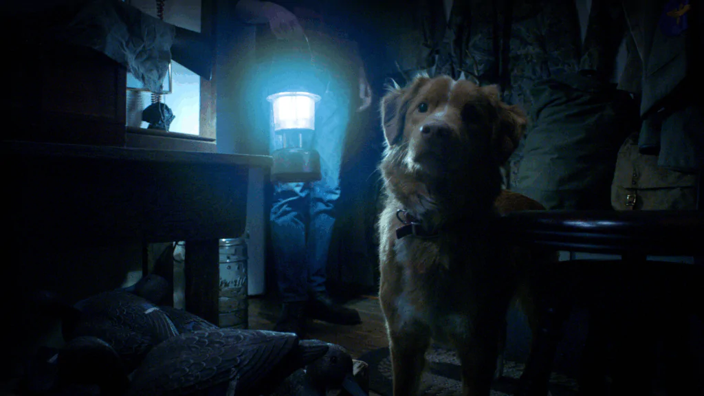 Good Boy (©Good Boy Film)