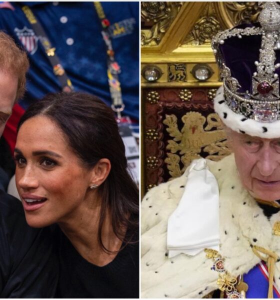 Il Principe Harry ha incontrato Re Carlo III
