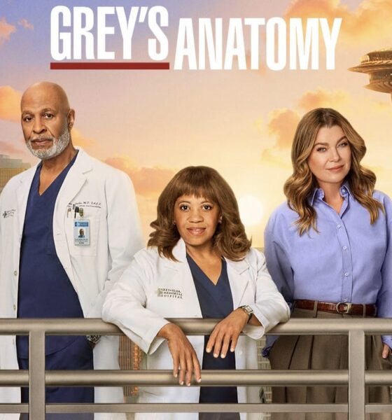 Grey's Anatomy 22