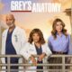 Grey's Anatomy 22
