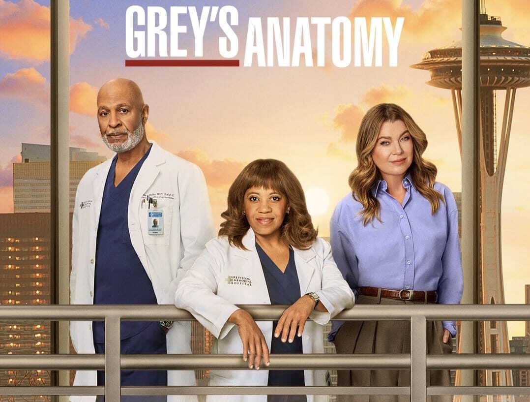Grey's Anatomy 22