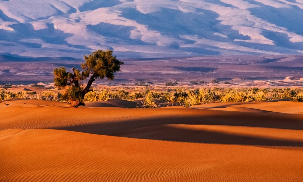 Tamnougalt, Marocco