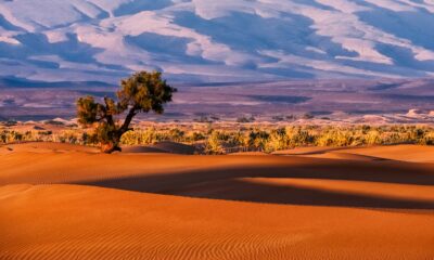 Tamnougalt, Marocco