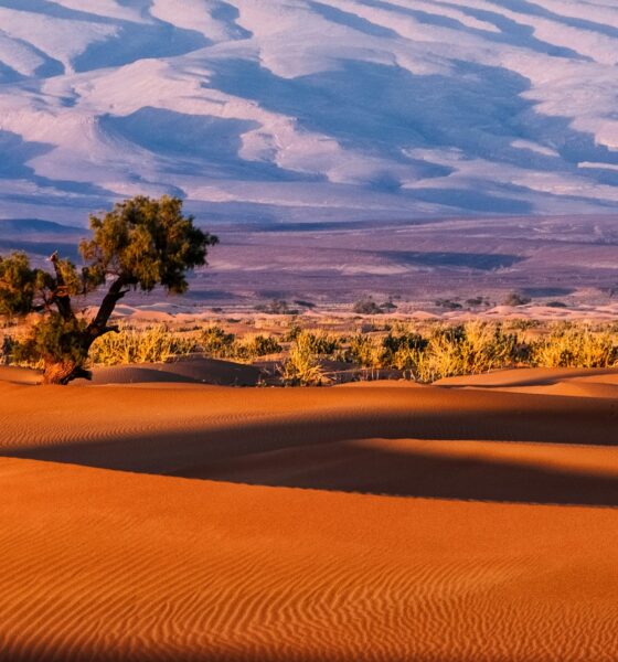 Tamnougalt, Marocco