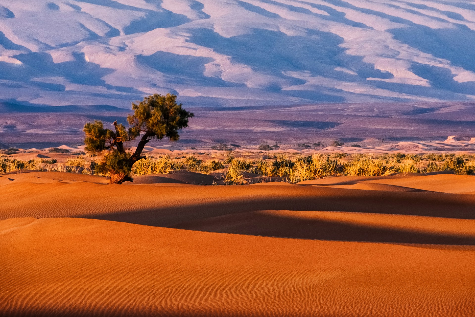Tamnougalt, Marocco