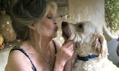 Brigitte Bardot verrà sepolta accanto ai suoi cani nella villa di Saint-Tropez. Metà eredità al figlio per legge, il resto alla causa animale