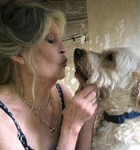 Brigitte Bardot verrà sepolta accanto ai suoi cani nella villa di Saint-Tropez. Metà eredità al figlio per legge, il resto alla causa animale