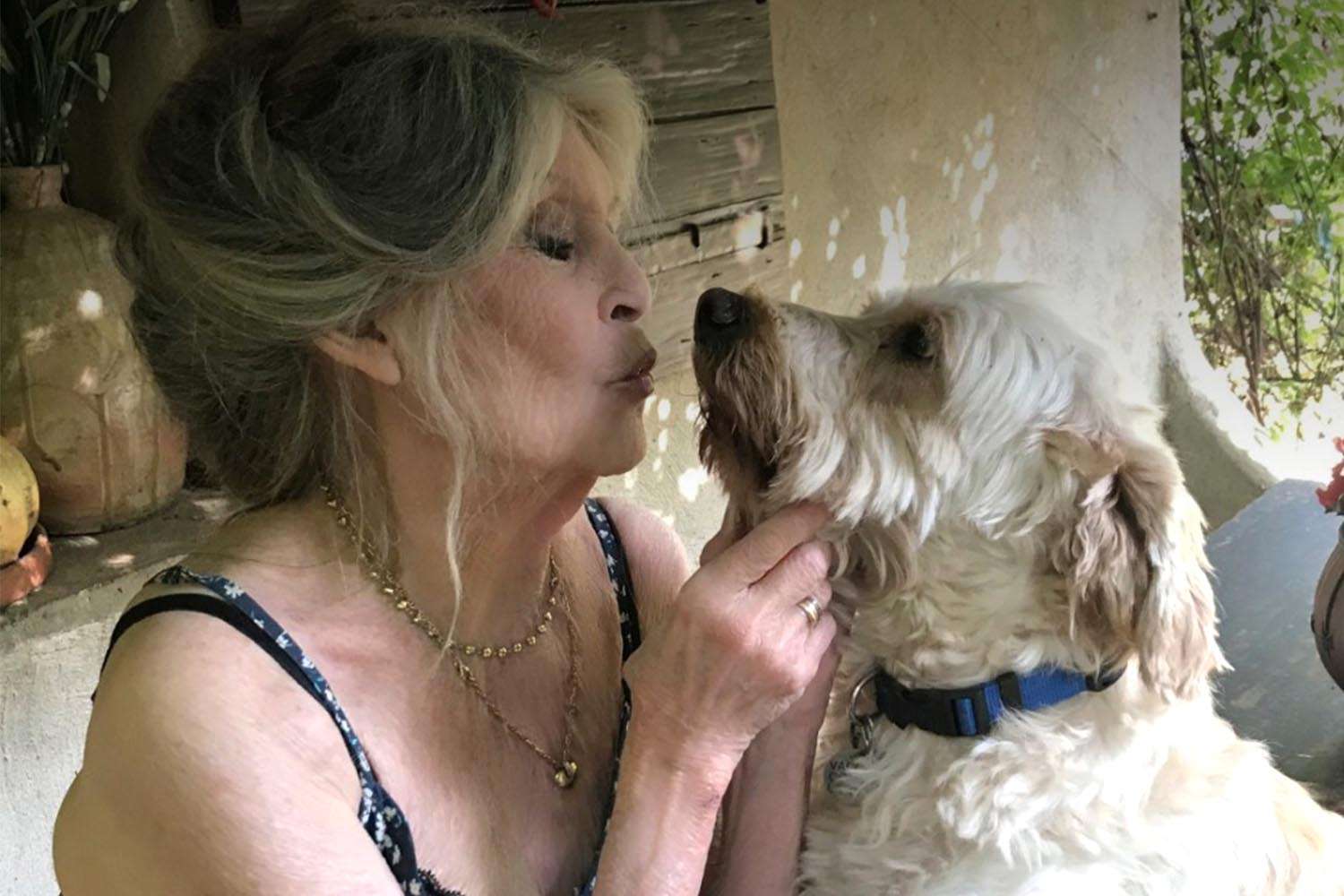 Brigitte Bardot verrà sepolta accanto ai suoi cani nella villa di Saint-Tropez. Metà eredità al figlio per legge, il resto alla causa animale