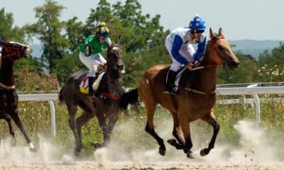 Corsa di cavalli (© Depositphotos)