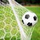 Pallone in rete