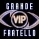 GFVIP, svelato l'intero Cast. 7 di loro debutteranno nell'OPEN HOUSE