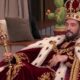 GFVIP, pagelle della 12esima puntata